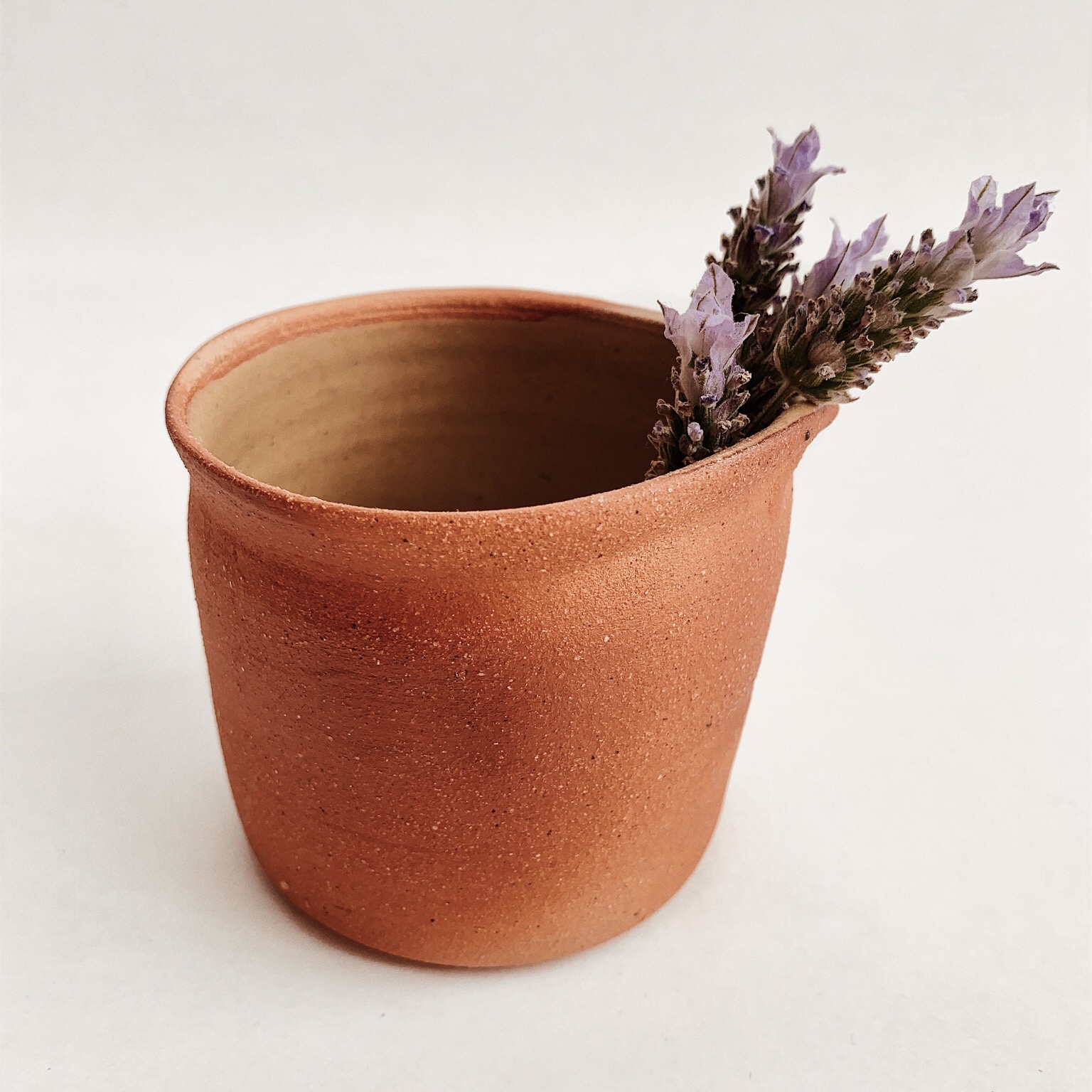 Plato Decorativo